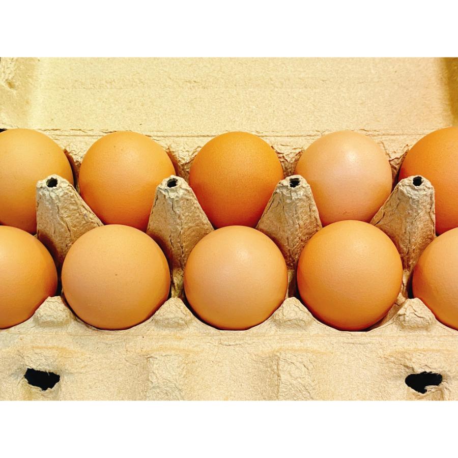 自然卵おのたま20個ギフトボックス