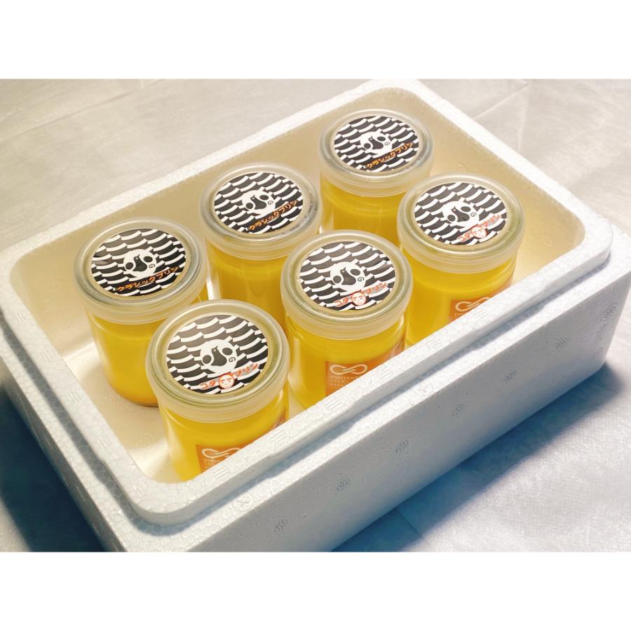 プリン６個セット（コタプリン×３、クラシックプリン×３）