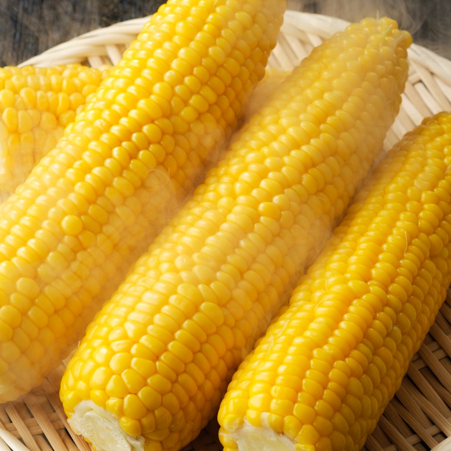 ＜岡田農園＞とうもろこし8本（L～2Lサイズ）