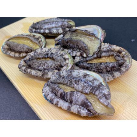 ＜おらえのごっつお＞海洋牧場育ち養殖活蝦夷あわび7.5cm以上×6個