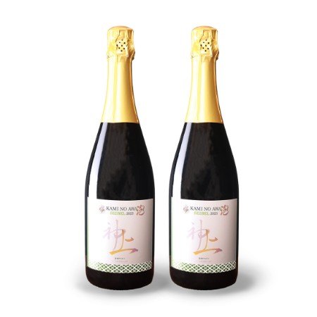 ＜上ノ国ワイナリー＞上ノ泡ロゼセイベルスパークリング2023 750ml×2本