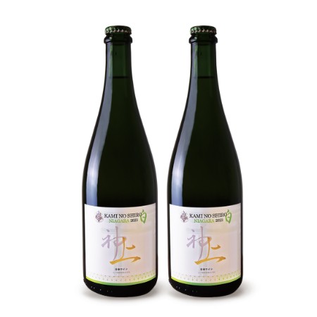 ＜上ノ国ワイナリー＞上の白ナイアガラ2023 750ml×2本