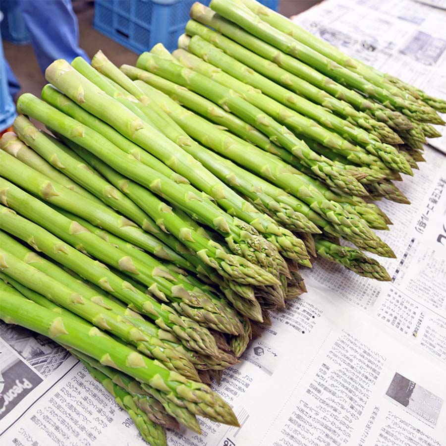 朝採れ夏のグリーンアスパラ1kg