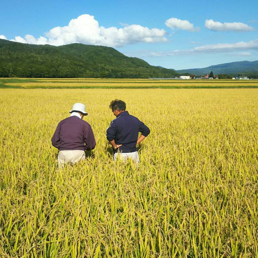【令和7年産新米】＜銀山米研究会＞仁木町銀山産ななつぼし5kg