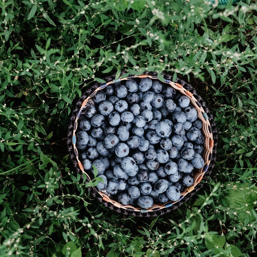 ＜iorifarmhokkaido＞ブルーベリージャム 120g×3個