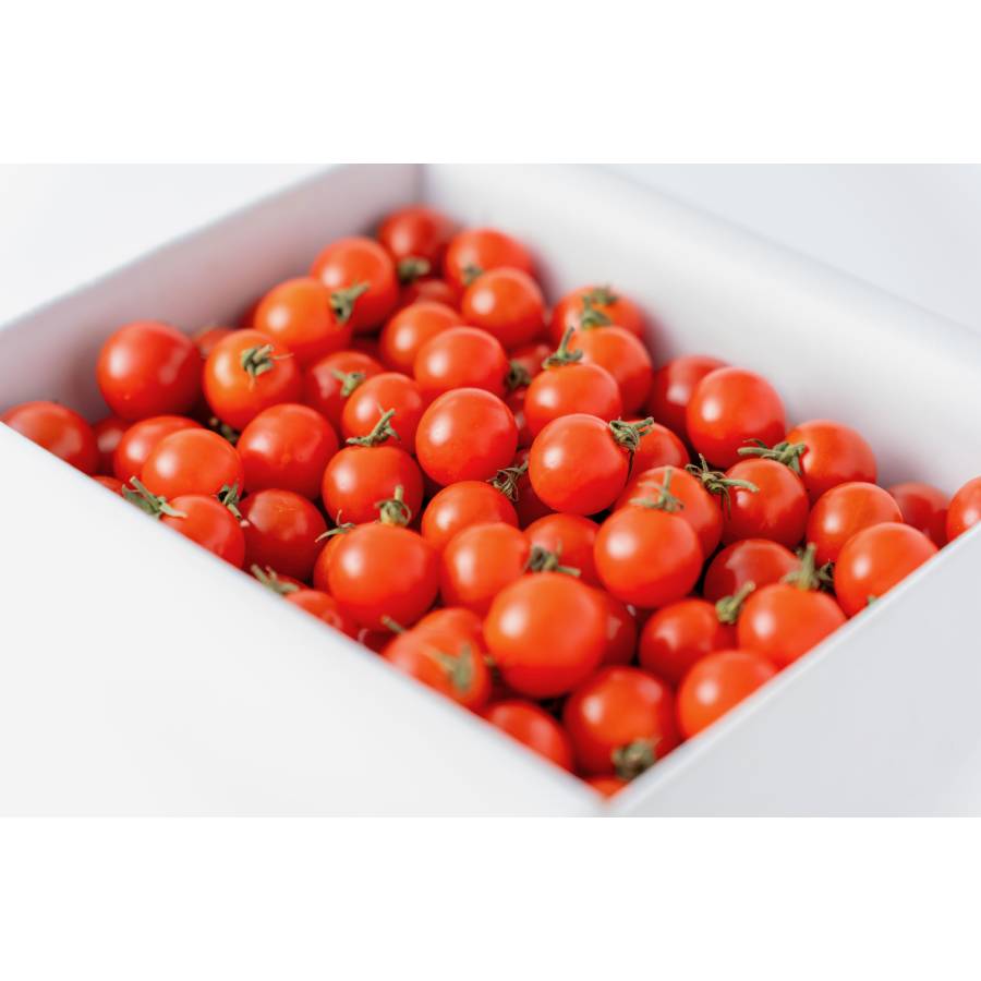 <北のほっぺ>樹上完熟 高糖度ミニトマト1kg