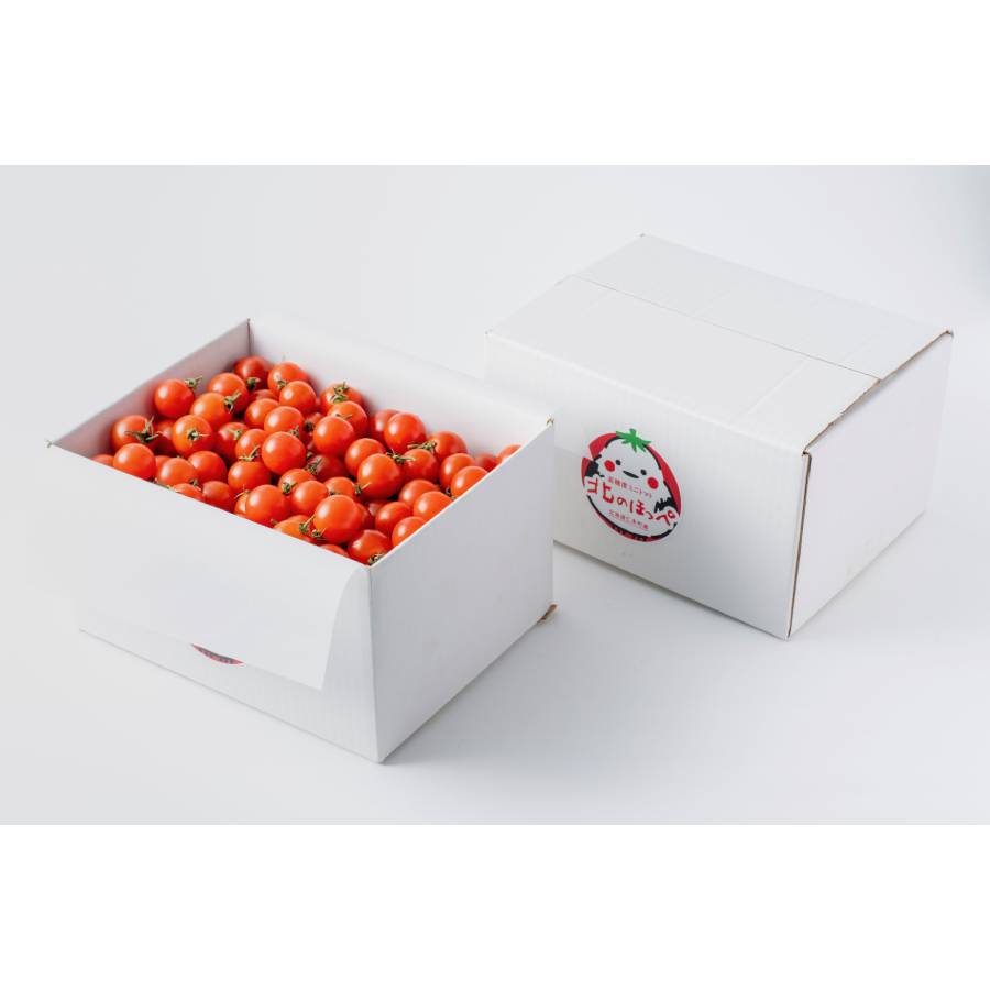 <北のほっぺ>樹上完熟 高糖度ミニトマト1kg