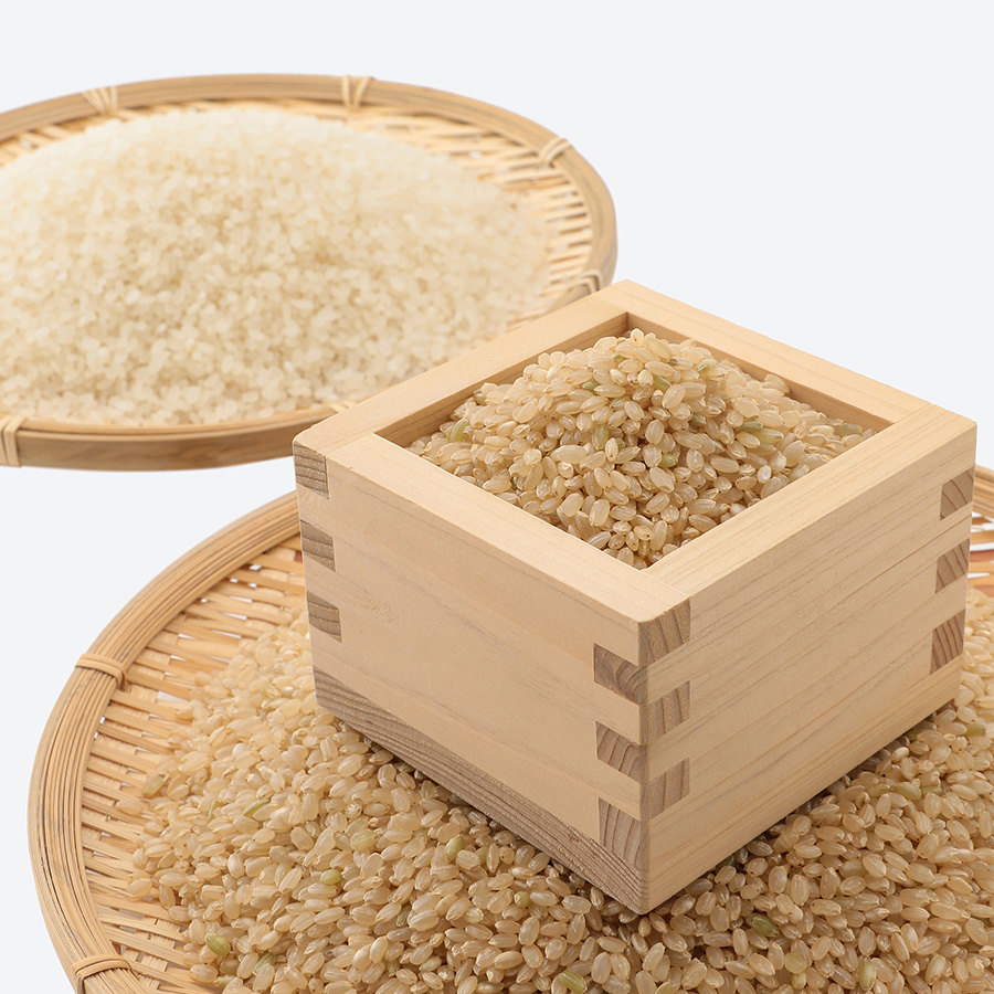 うりゅう米ななつぼし玄米5kg　3回定期便