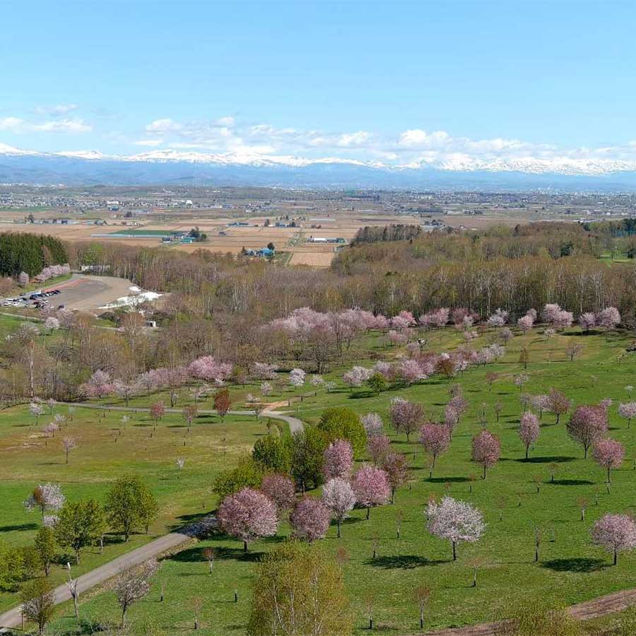 北海道鷹栖町