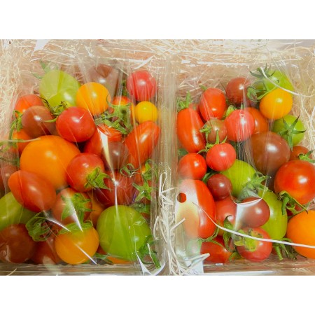 ＜Kanbutsu Cafe＞完熟彩り有機デザートトマト 500g×2