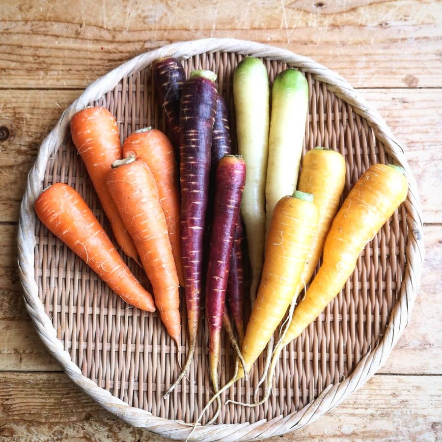 オーガニックの秋のお野菜セット