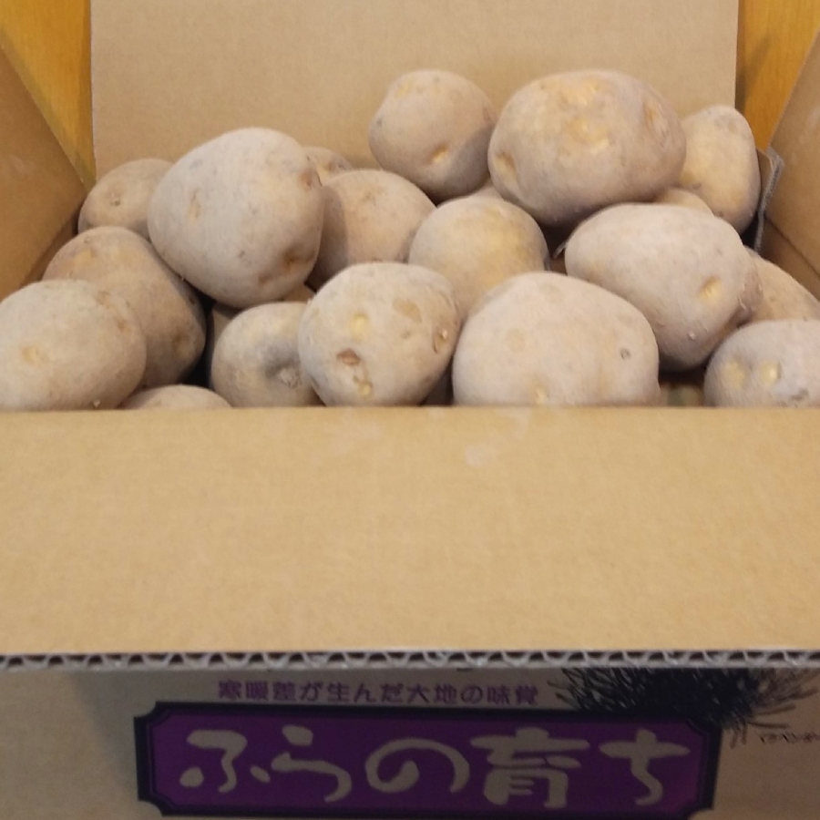 蔵出し熟成じゃがいも 10kg