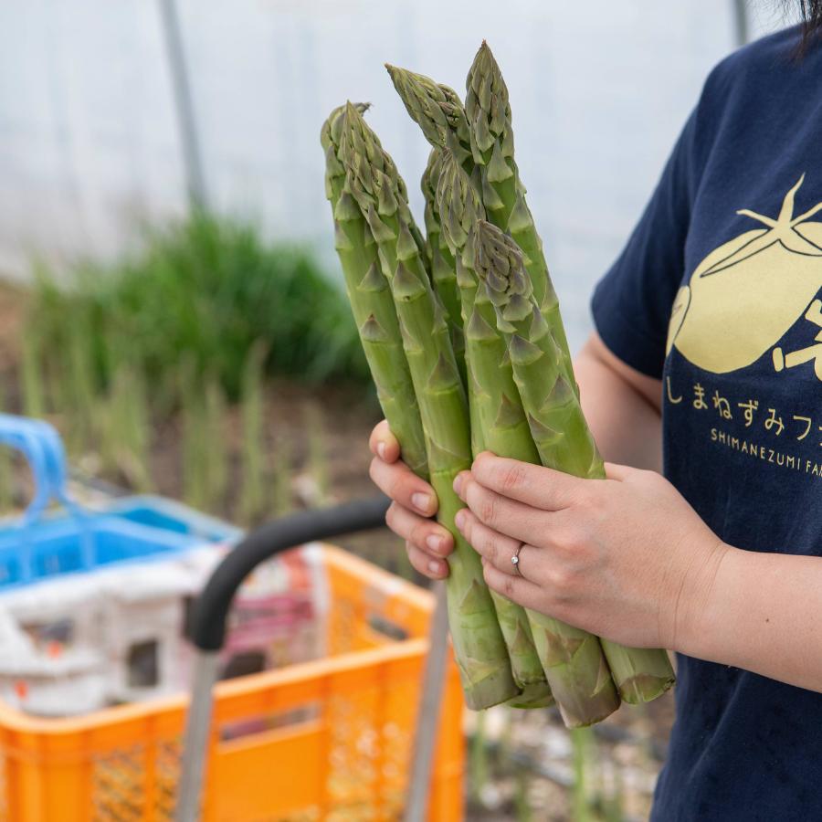 <しまねずみファーム>グリーンアスパラ【フラノラルム】3L/800g