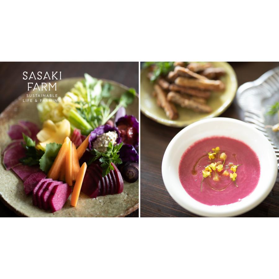 ＜佐々木ファーム＞旬の野菜詰め合わせ～循環セット～（7-10品目程度）