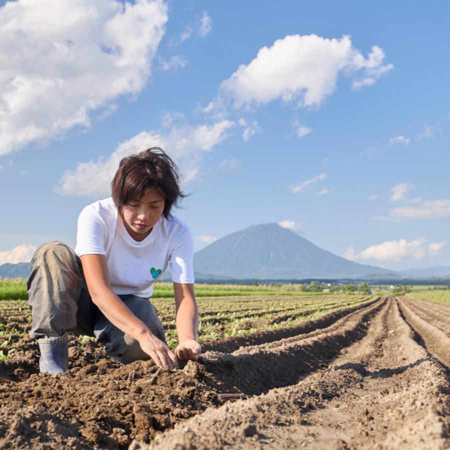 ＜佐々木ファーム＞旬の野菜詰め合わせ～循環セット～（7-10品目程度）