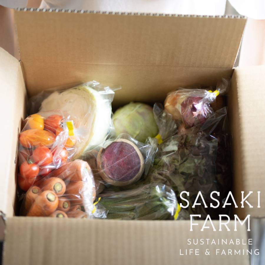 ＜佐々木ファーム＞旬の野菜詰め合わせ～循環セット～（7-10品目程度）