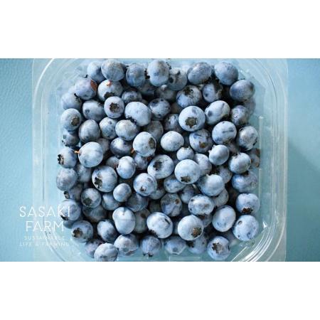 ＜佐々木ファーム＞自然栽培フレッシュブルーベリー1kg（500g×2）