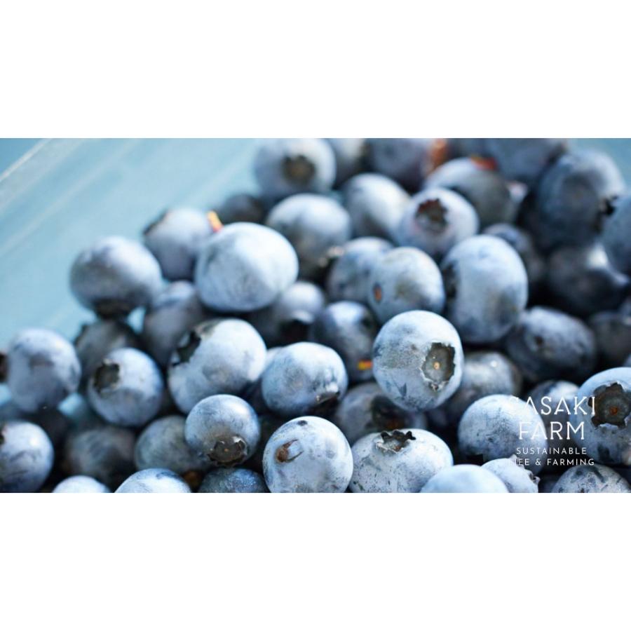 <佐々木ファーム>自然栽培フレッシュブルーベリー2kg(500g×4)