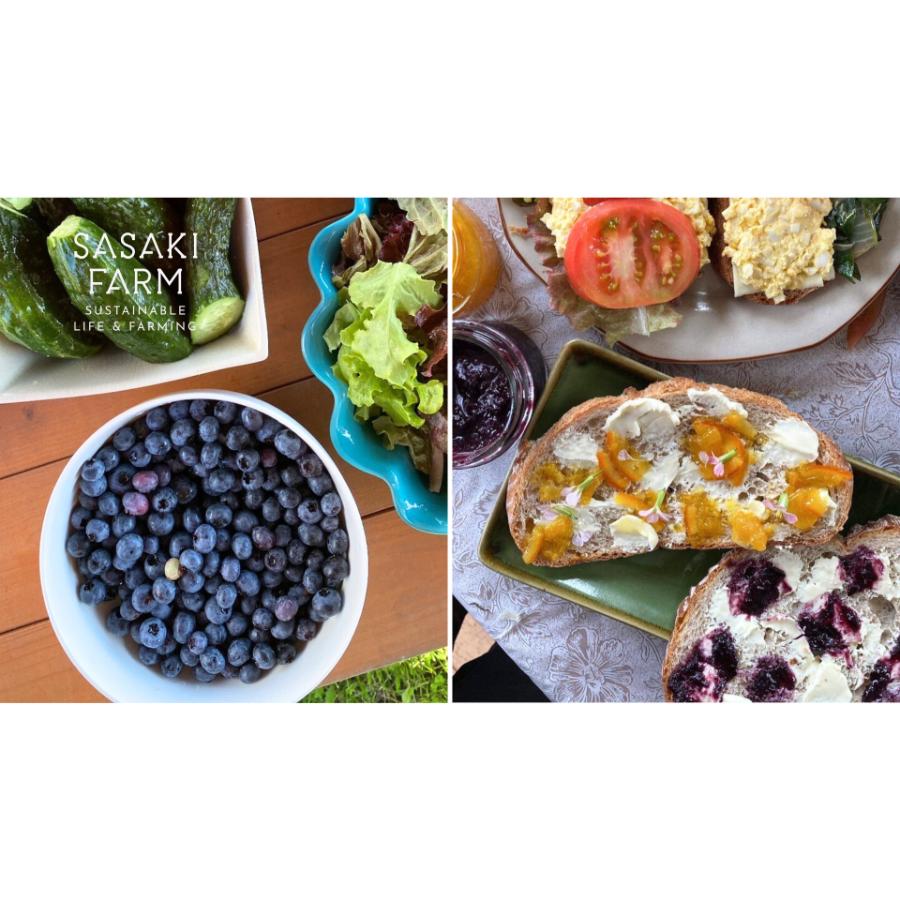 <佐々木ファーム>自然栽培フレッシュブルーベリー2kg(500g×4)