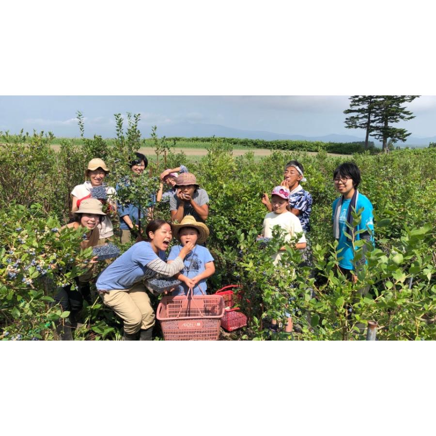 <佐々木ファーム>自然栽培フレッシュブルーベリー2kg(500g×4)