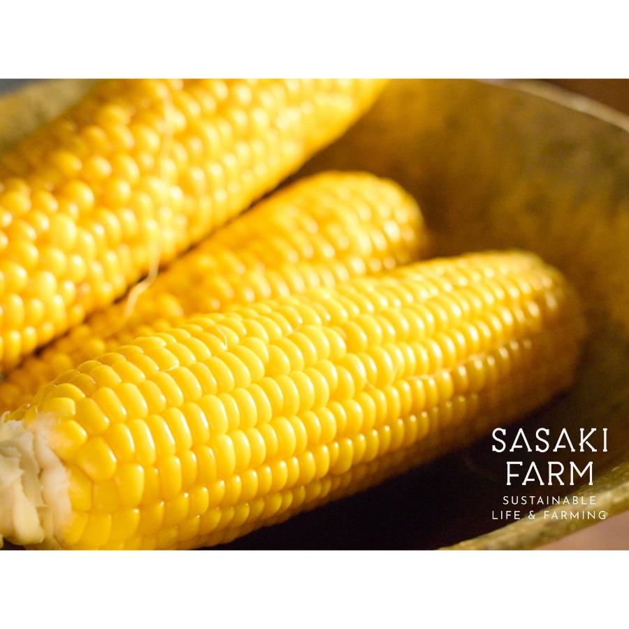 ＜佐々木ファーム＞自然栽培とうもろこし4kg（12～14本）