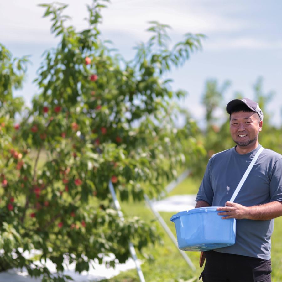 【もったいない！を食べよう】＜晴れの実り。とかちもも＞白桃【訳あり品】2kg