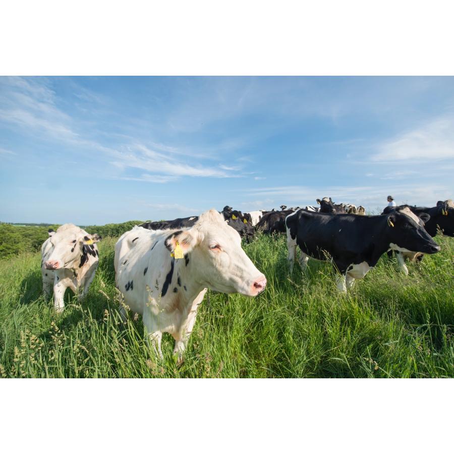<カントリーホーム風景>牧場手づくりギフト ピリカ