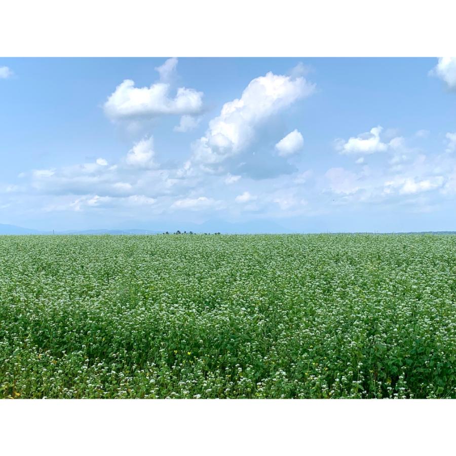 <新得そば>新そば16人前(つゆ付)