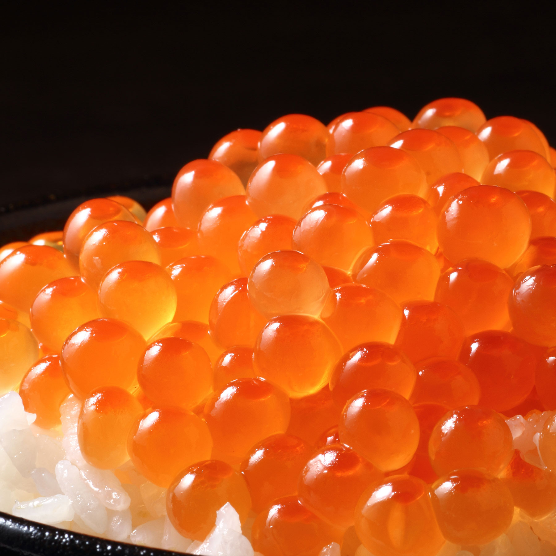 ＜広洋水産＞シラリカいくらしょうゆ味 500g（250g×2）2回定期便
