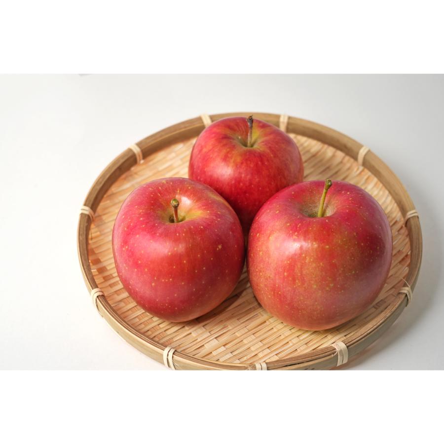 早生ふじ家庭用10kg/平均糖度12度以上【もったいない！を食べよう】10月発送