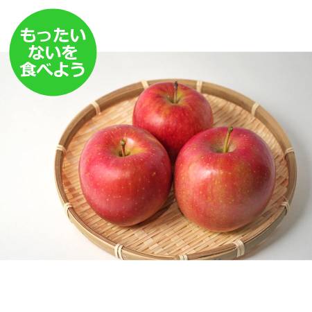 早生ふじ家庭用10kg/平均糖度12度以上【もったいない！を食べよう】10月発送