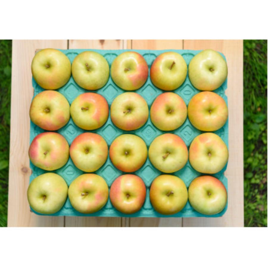 トキ贈答用10kg/平均糖度12度以上（10月発送）