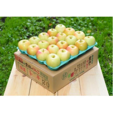 トキ贈答用5kg/平均糖度12度以上（10月発送）