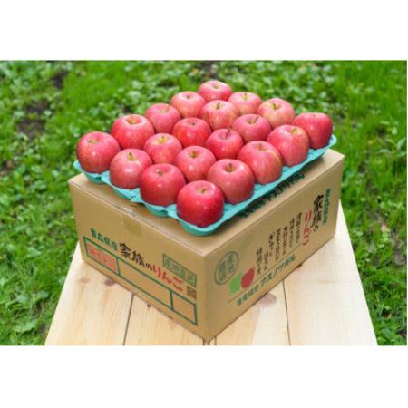 早生ふじ贈答用10kg/平均糖度12度以上（10月発送）