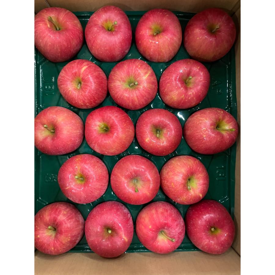 早生ふじ贈答用5kg/平均糖度12度以上（10月発送）