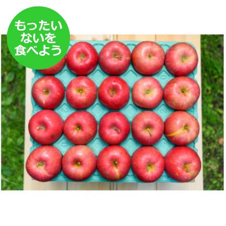 2025年11月発送予定【もったいない！を食べよう】平均糖度１２度以上早生ふじ10kg