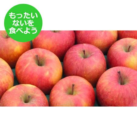 2025年12月発送予定【もったいない！を食べよう】糖度13度以上　葉とらずサンふじ10kg