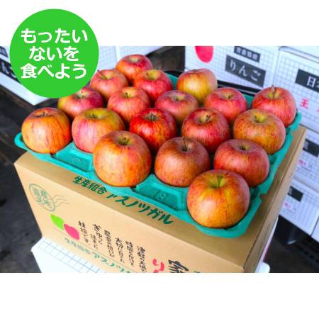 2025年12月発送予定【もったいない！を食べよう】糖度13度以上　サンふじ5kg