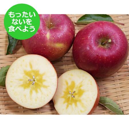 葉とらずサンふじ家庭用5kg/平均糖度13度以上【もったいない！を食べよう】12月発送