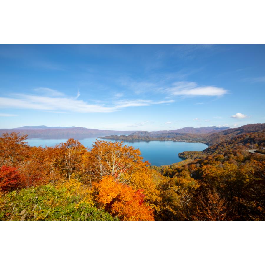 <津軽びいどろ>十和田紅葉 花器(中)