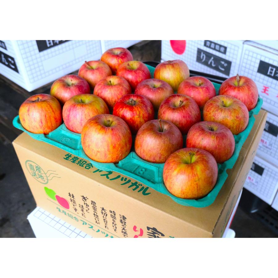 サンふじ家庭用10kg/平均糖度13度以上【もったいない!を食べよう】1月発送