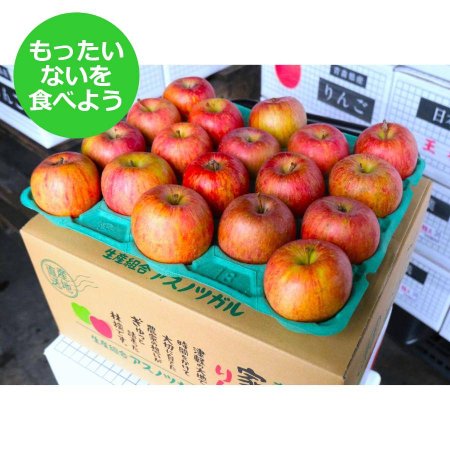 サンふじ家庭用10kg/平均糖度13度以上【もったいない！を食べよう】1月発送