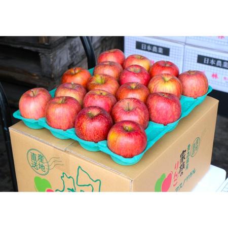 サンふじ贈答用10kg/平均糖度13度以上(1月発送)