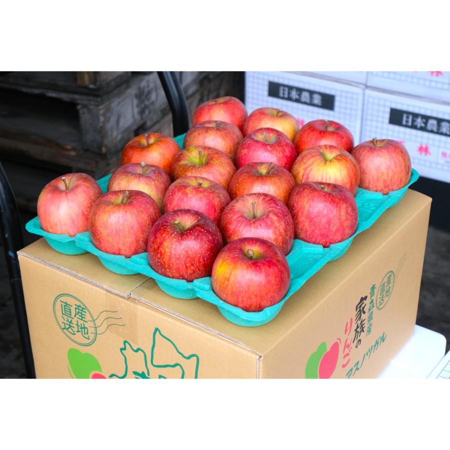 サンふじ贈答用3kg/平均糖度13度以上(1月発送)