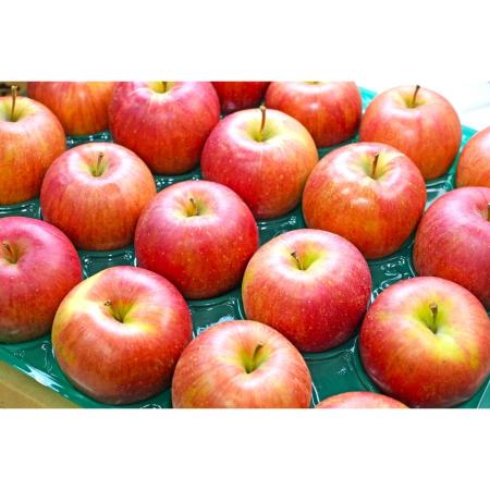 シナノスイート贈答用10kg/平均糖度13度以上（1月発送）