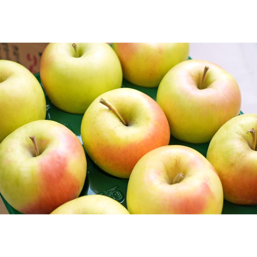 ぐんま名月贈答用5kg/平均糖度13度以上（2月発送）