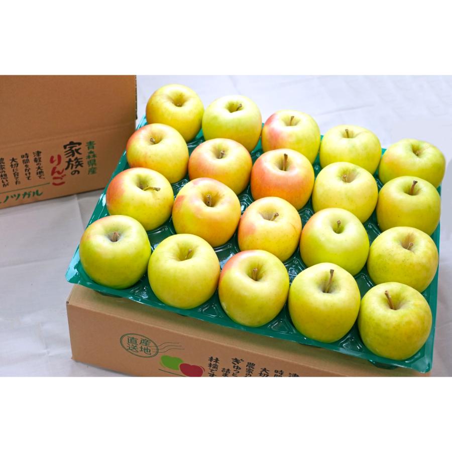 ぐんま名月贈答用5kg/平均糖度13度以上（2月発送）