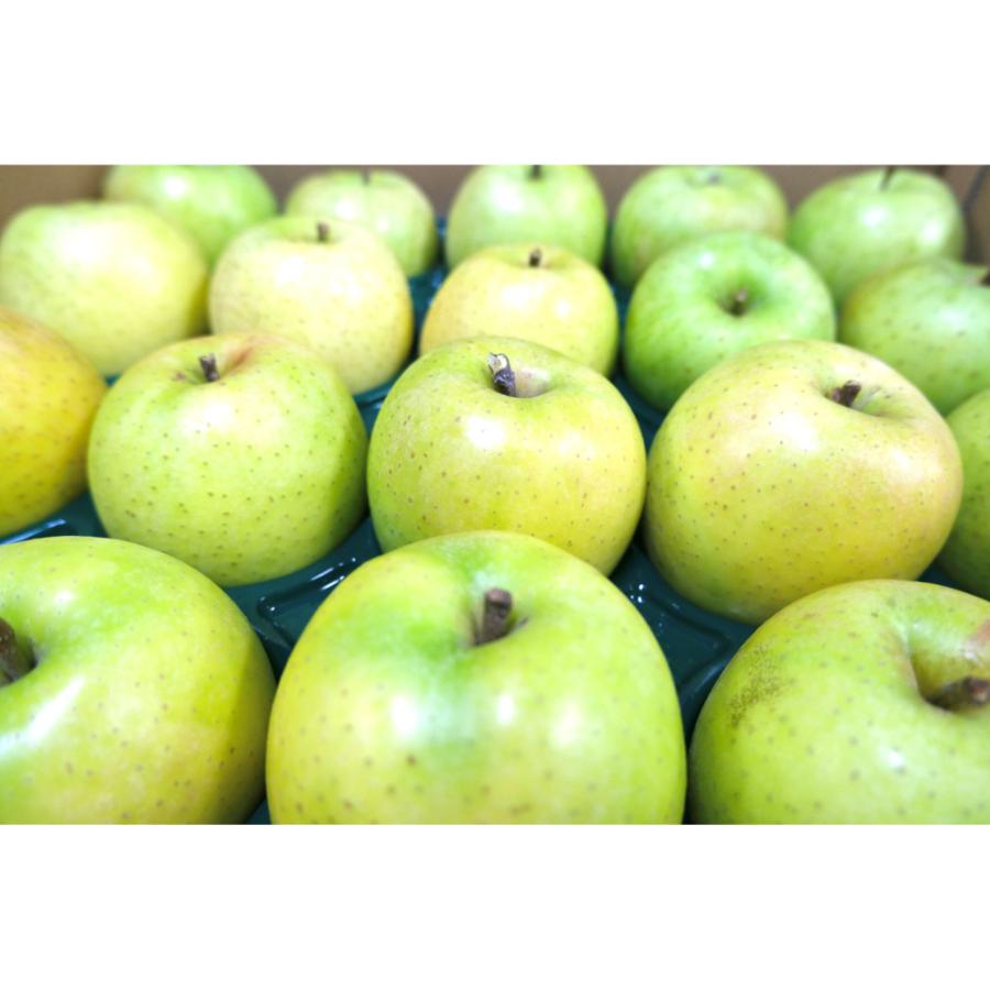 王林贈答用10kg/平均糖度13度以上(1月発送)