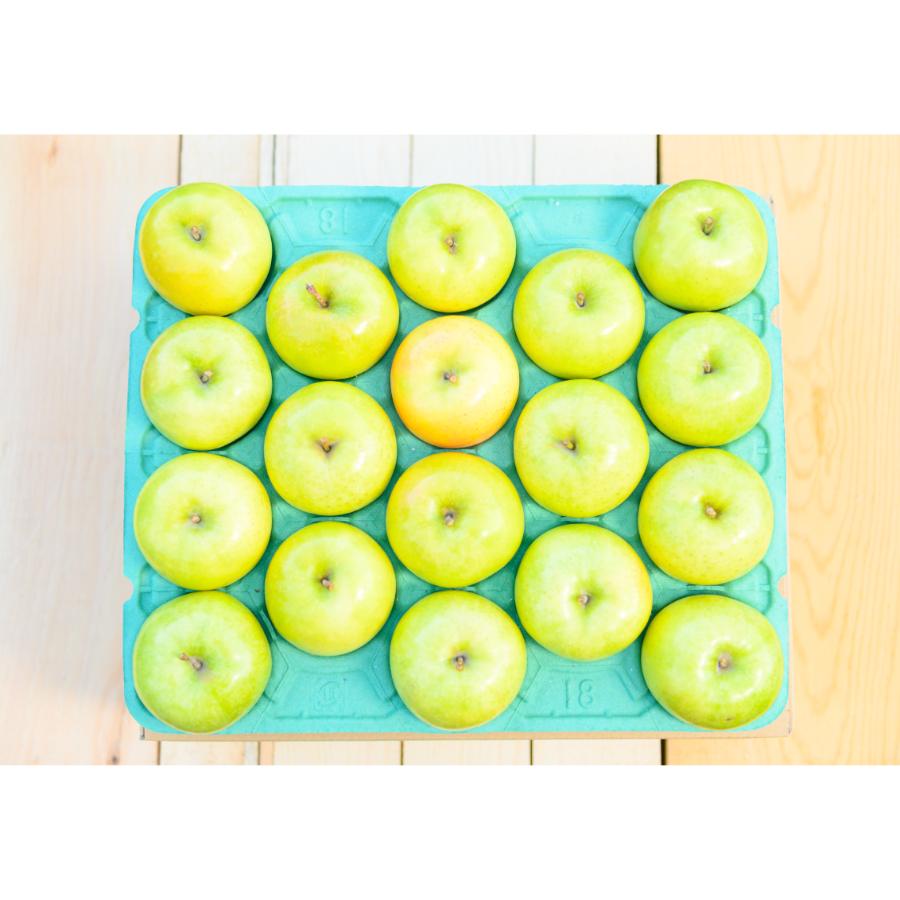 王林贈答用5kg/平均糖度13度以上(1月発送)