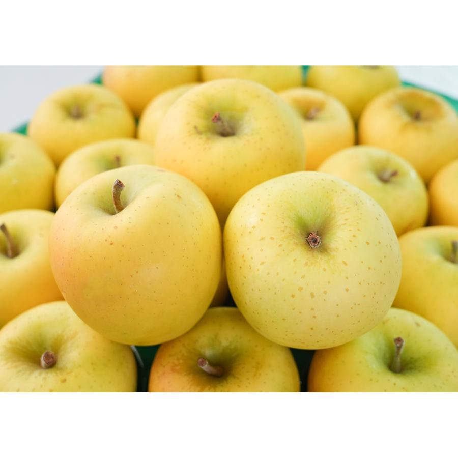 シナノゴールド贈答用5kg/平均糖度13度以上(1月発送)